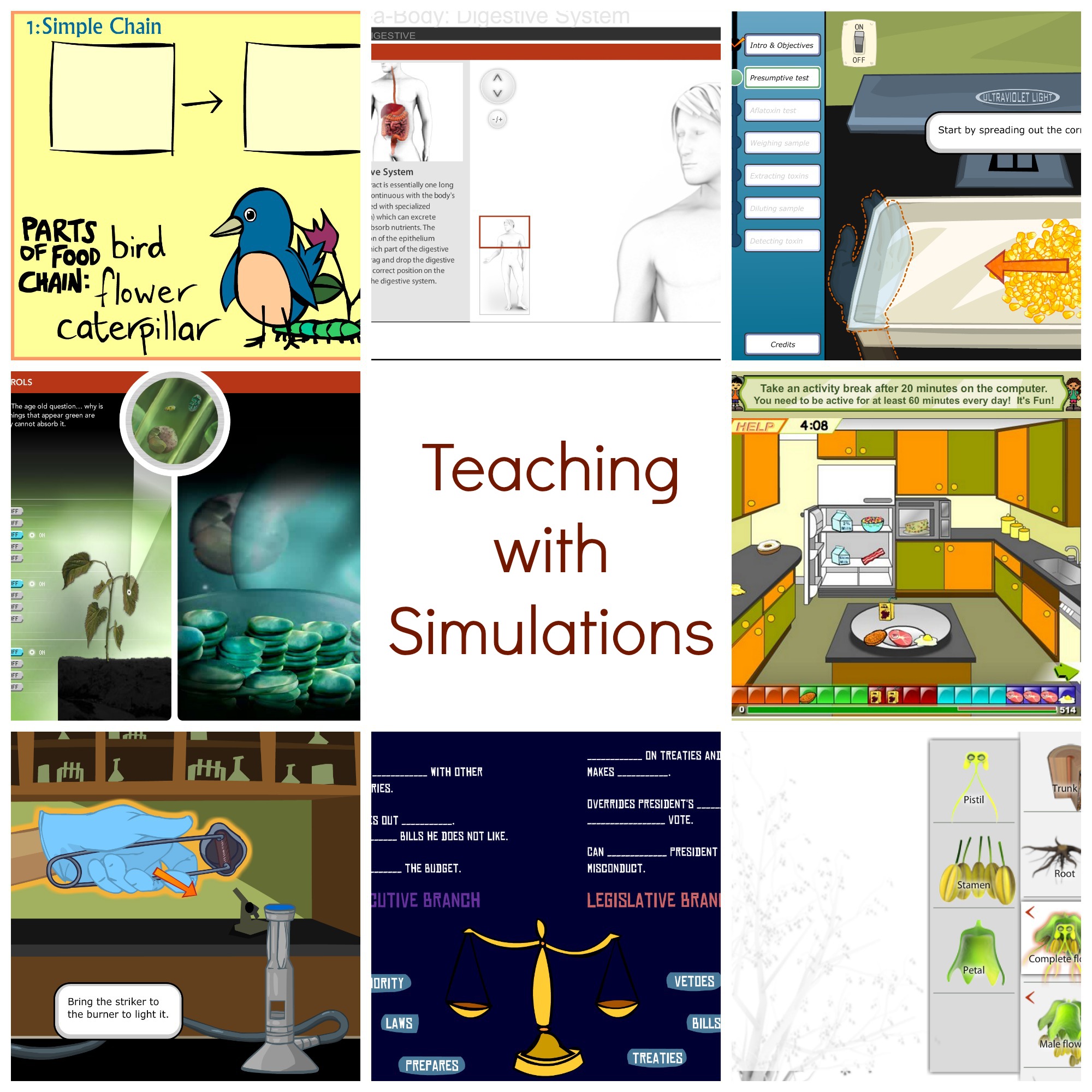 Teaching Strategies for Interactive Simulations