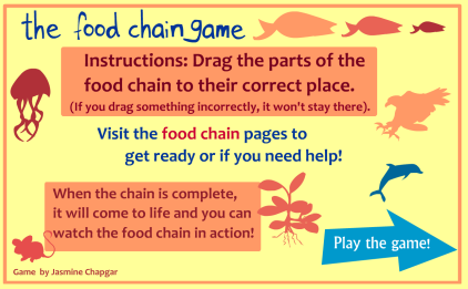 critical thinking questions about food chain