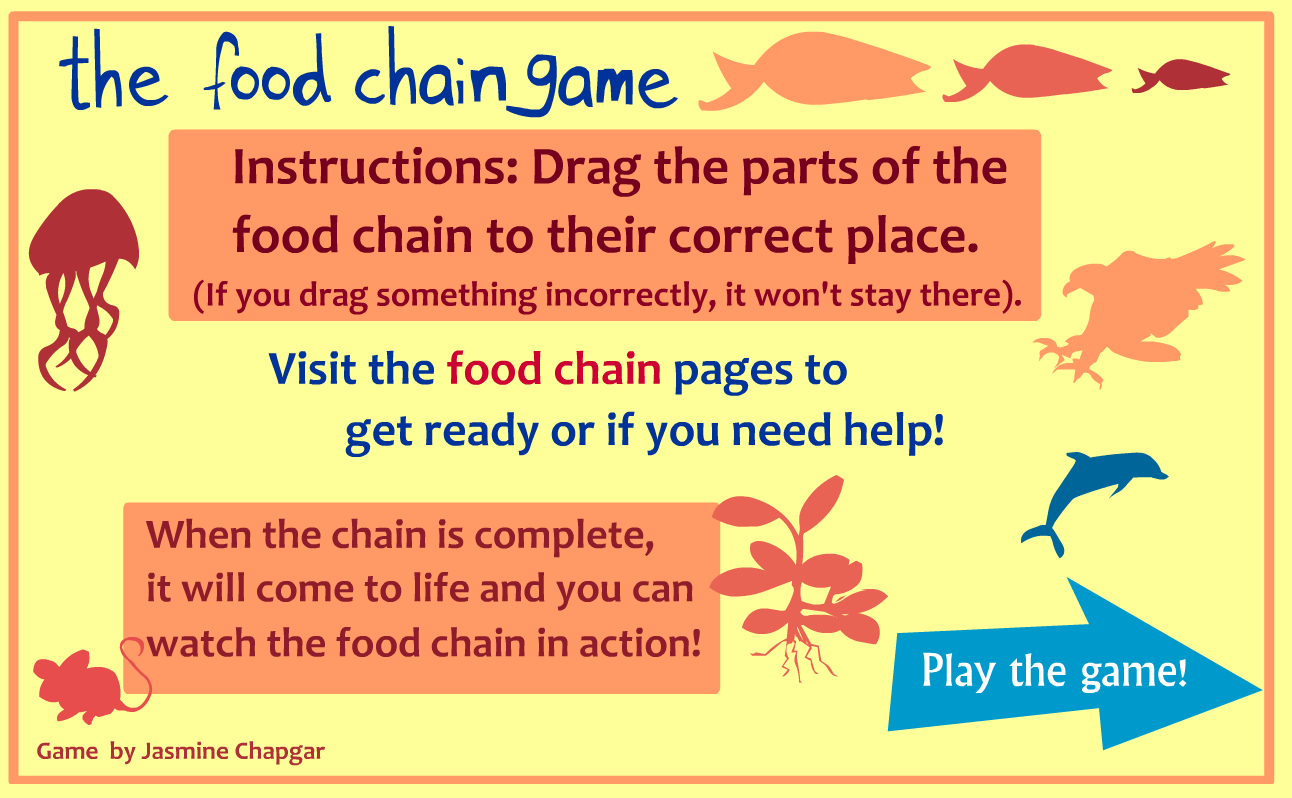 Food Chain Essential Questions