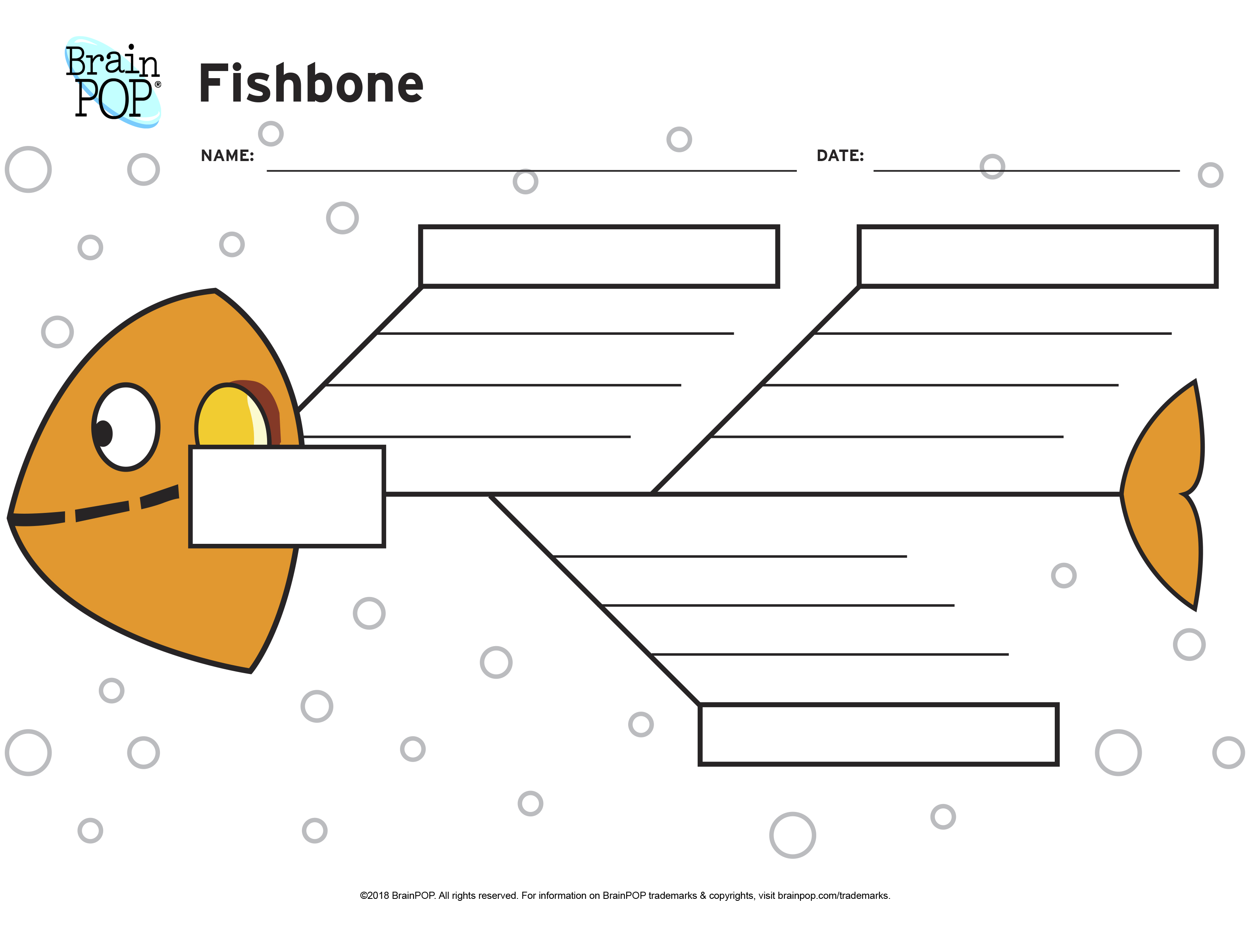 Fishbone Graphic Organizer