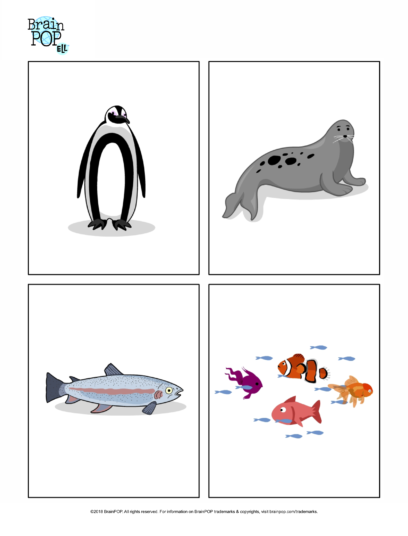 ELL Image Prompt: Penguin, Fish, Seal | BrainPOP Educators