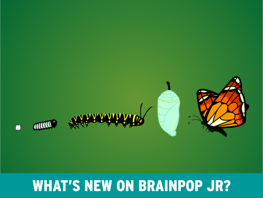 Insects make their Debut on BrainPOP Jr.
