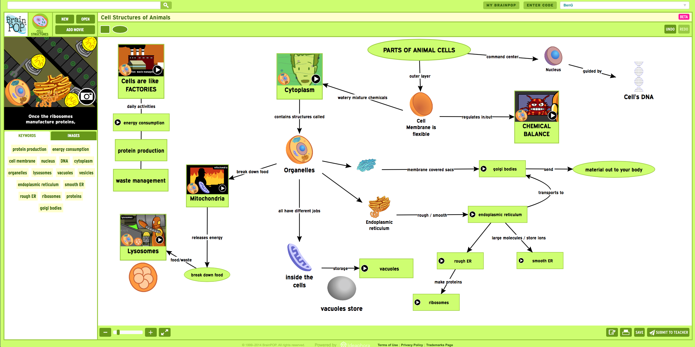 Cell Structures Concept Map  