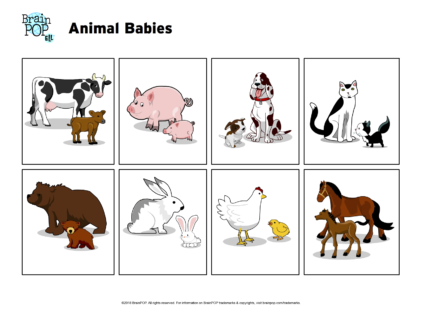 Animal Babies Image Prompt | BrainPOP Educators