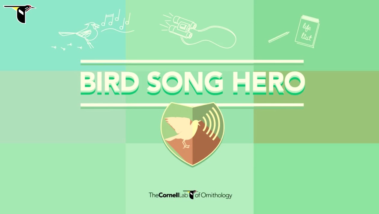 Bird Song Hero Game Tutorial
