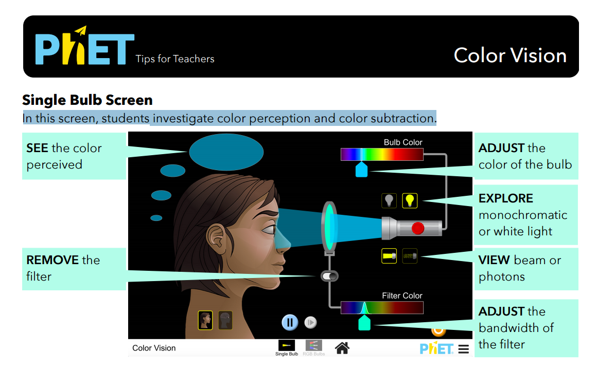 Color Vision Simulation Overview for Teachers