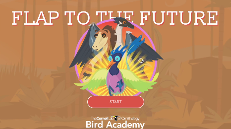 Flap to the Future Preview