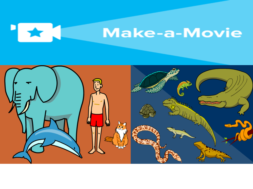 Make a Movie about a Mystery Animal!