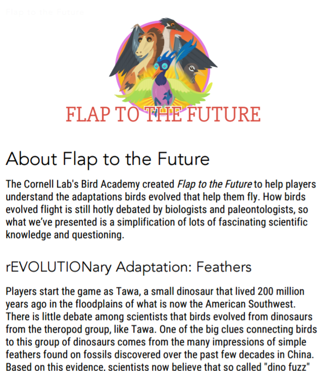 About Flap to the Future