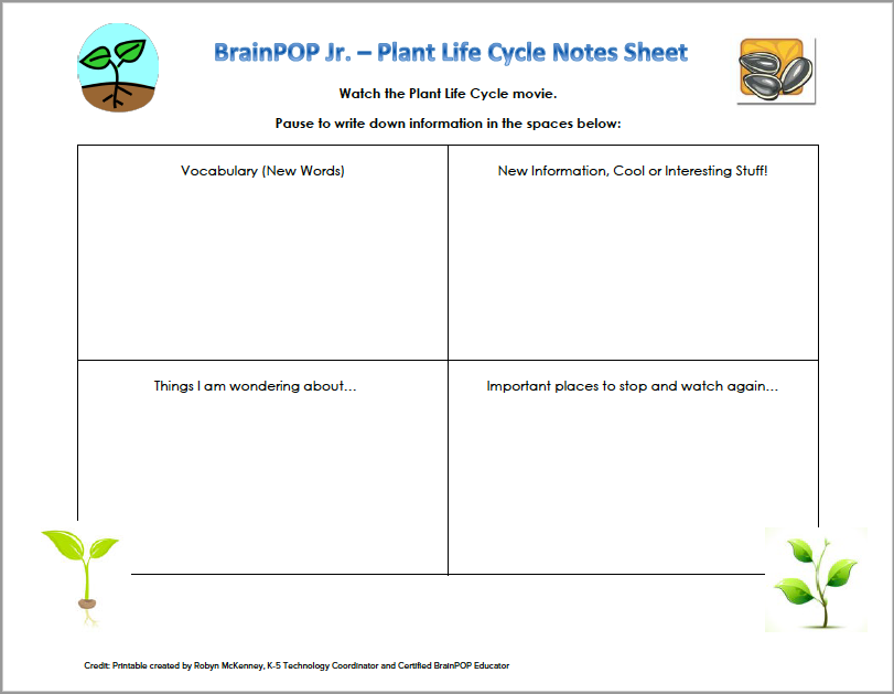 Plant Life Cycle Note-Taking Sheet